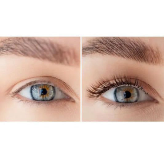 Maitinamasis aliejus blakstienoms